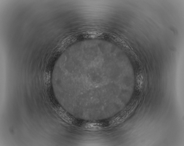 X0000112000657200908241434