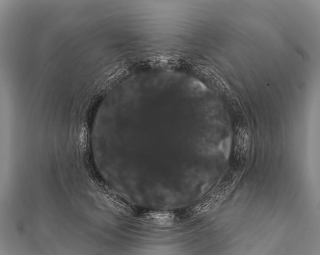 X0000112000659200908241434