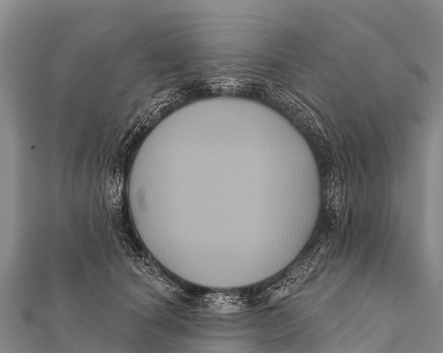 X0000112000660200908241434