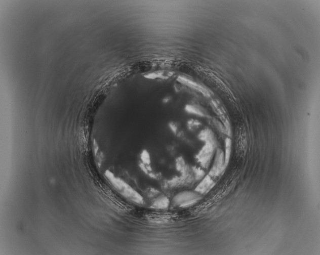 X0000112000661200908241434