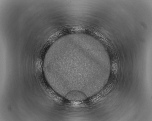 X0000112000662200908241434