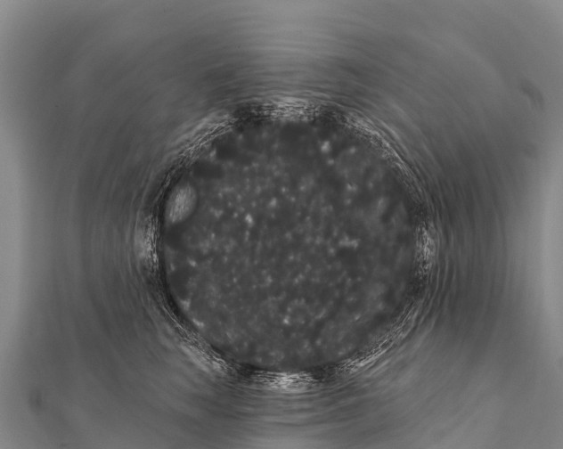 X0000112000663200908241434