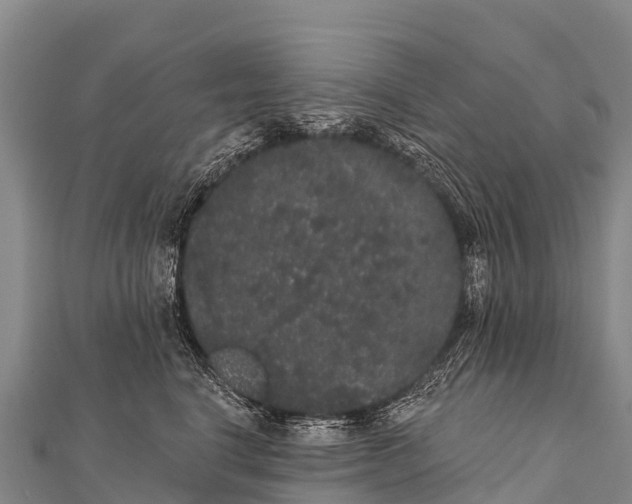 X0000112000664200908241434