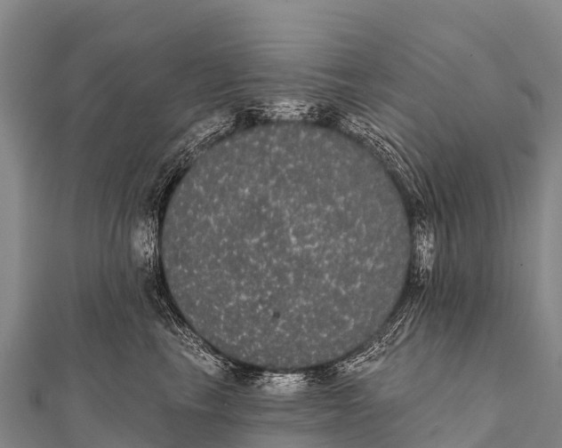 X0000112000665200908241434