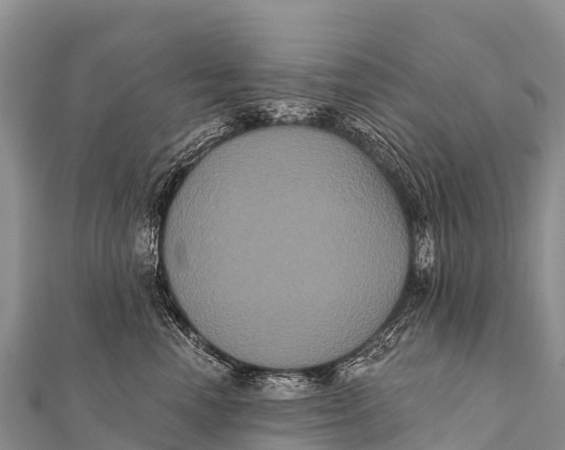 X0000112000666200908241434