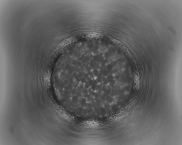 X0000112000668200908241434