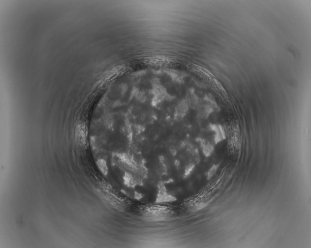 X0000112000669200908241434