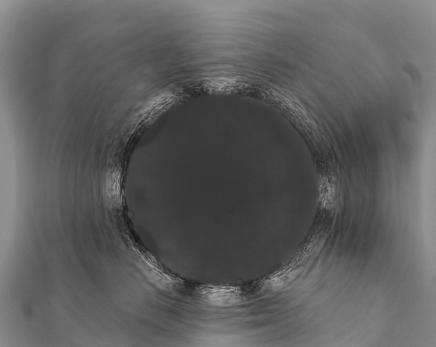 X0000112000670200908241434