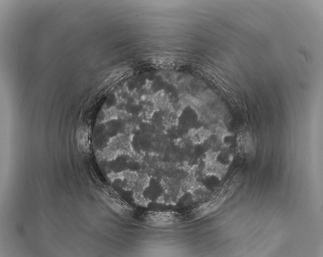 X0000112000671200908241434