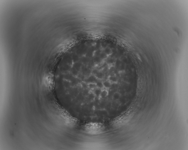 X0000112000672200908241434