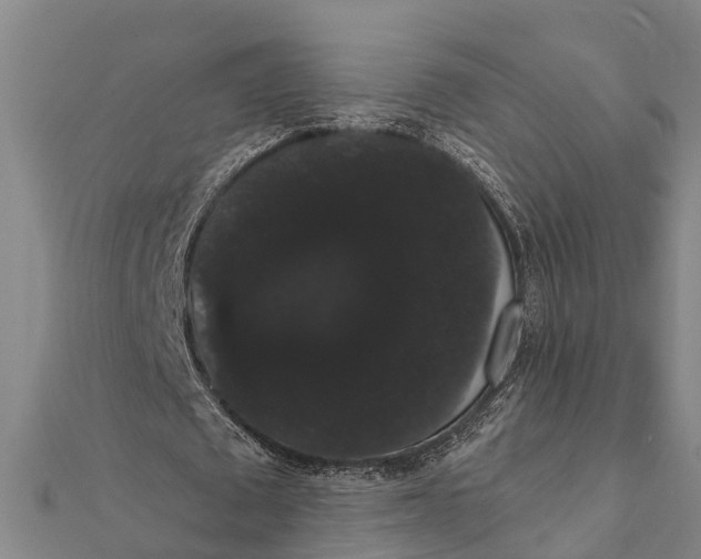 X0000112000673200908241433