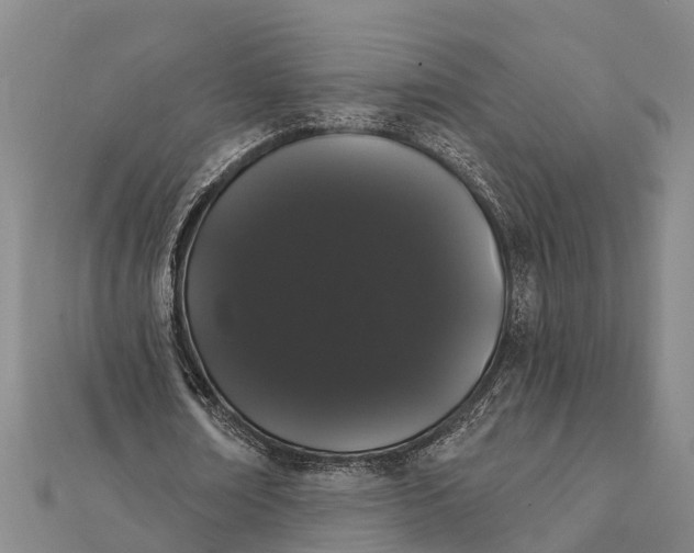 X0000112000674200908241433