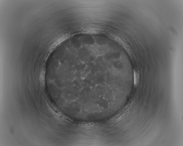 X0000112000675200908241433