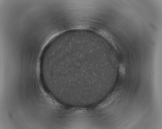 X0000112000676200908241433