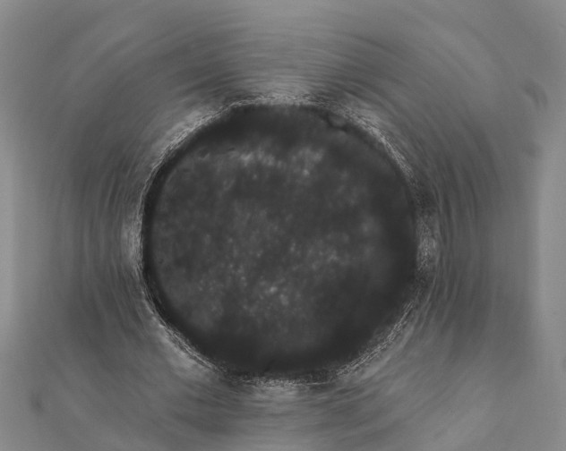 X0000112000677200908241433