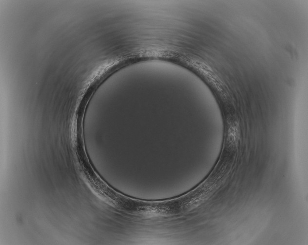 X0000112000678200908241433