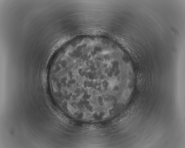 X0000112000679200908241433