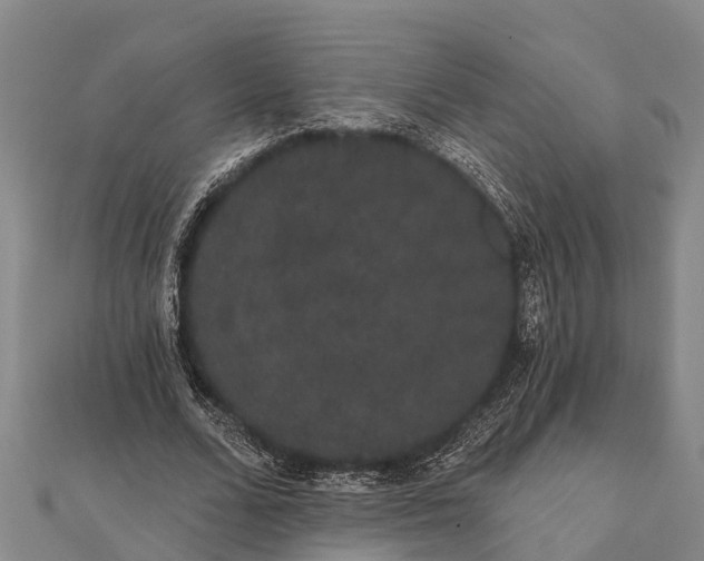 X0000112000680200908241433