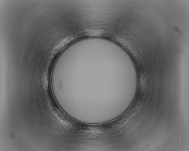 X0000112000682200908241433