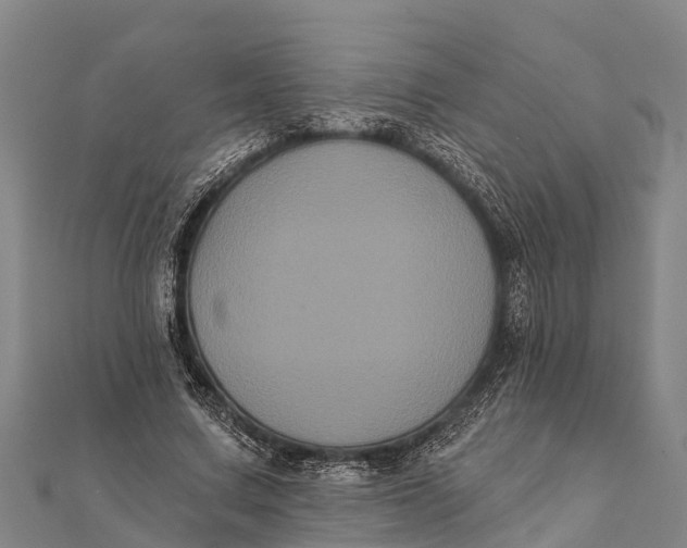 X0000112000683200908241433