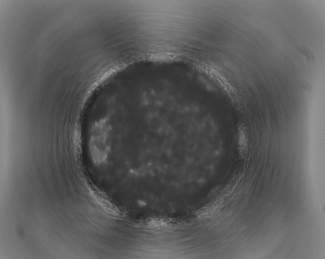 X0000112000684200908241433