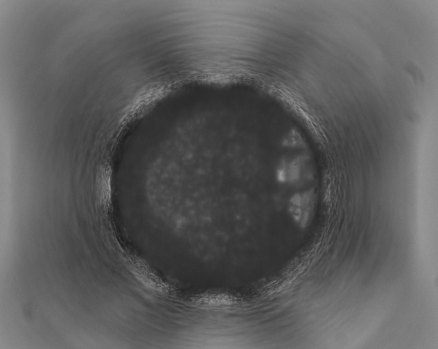 X0000112000685200908241433