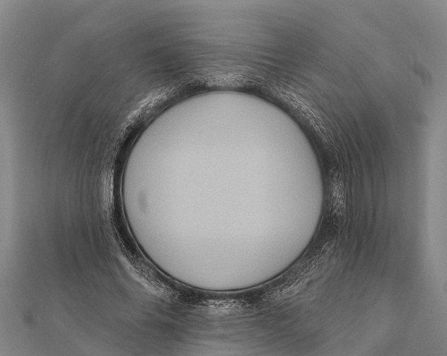 X0000112000686200908241433