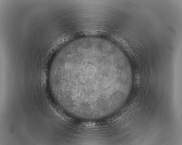 X0000112000687200908241433