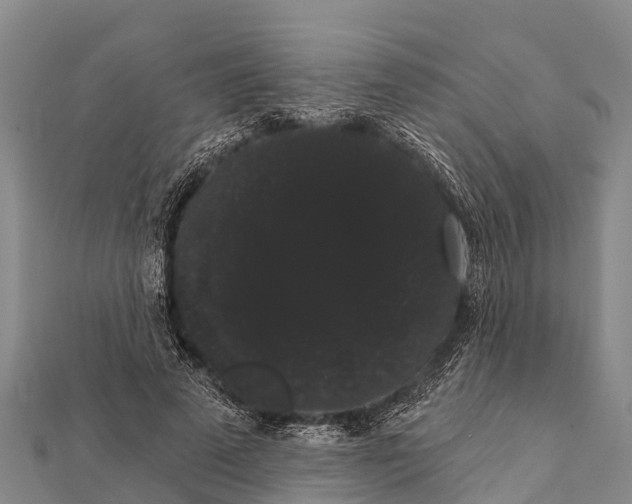 X0000112000689200908241433