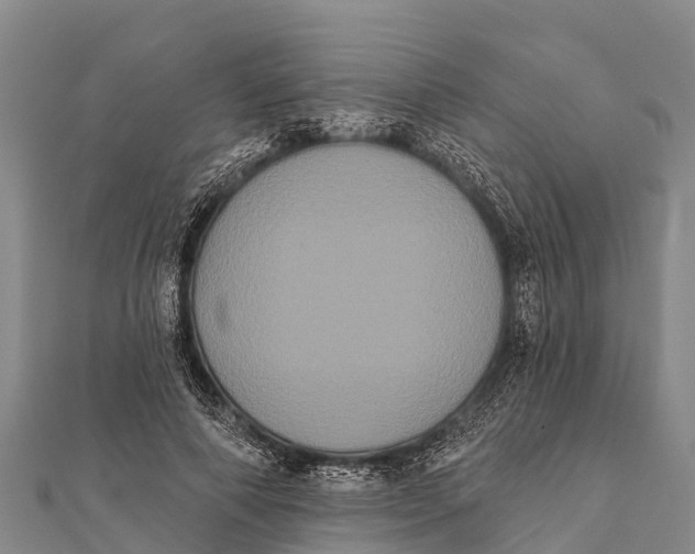 X0000112000690200908241433