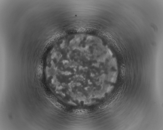 X0000112000691200908241433