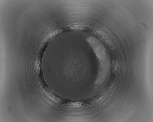 X0000112000692200908241433