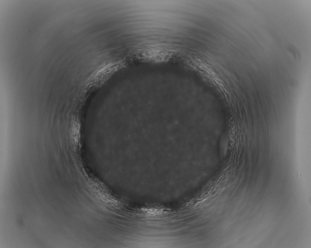 X0000112000693200908241433