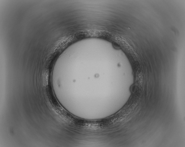 X0000112000694200908241433