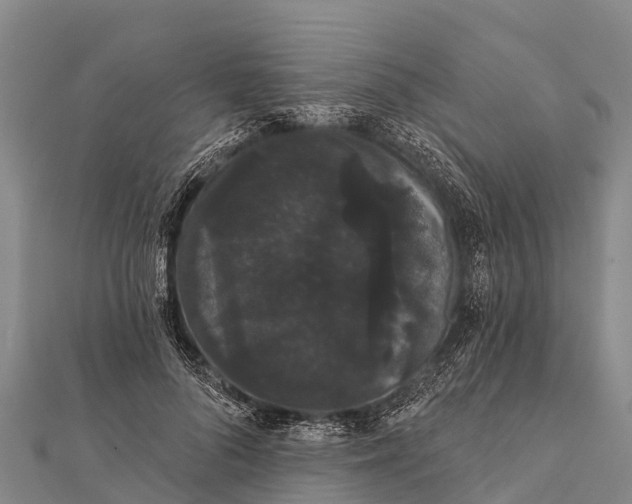 X0000112000696200908241433