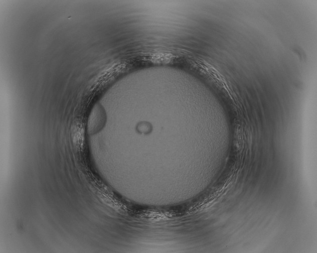 X0000112000697200908241433