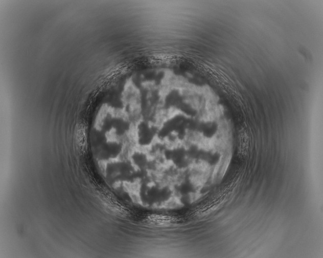 X0000112000699200908241433