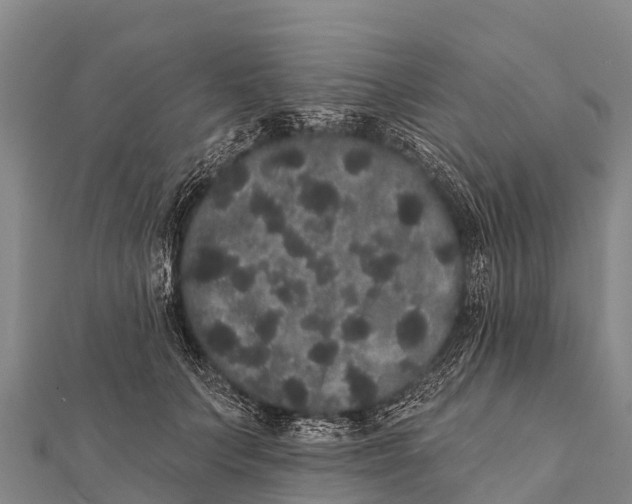 X0000112000703200908241433