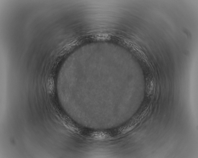 X0000112000704200908241433