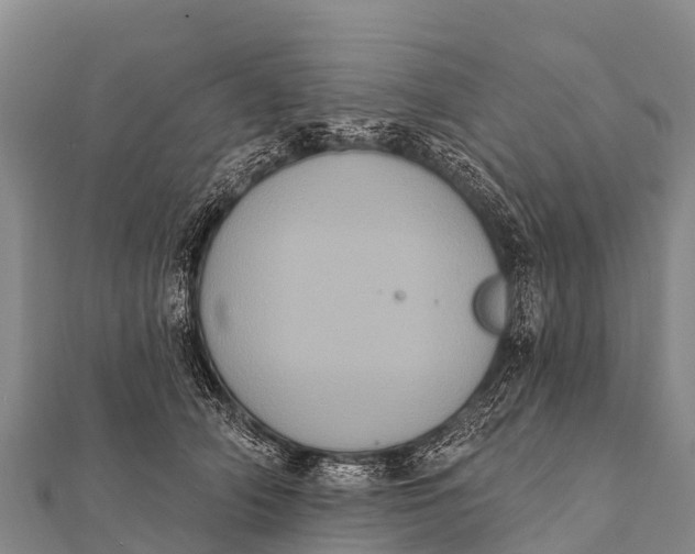 X0000112000706200908241433