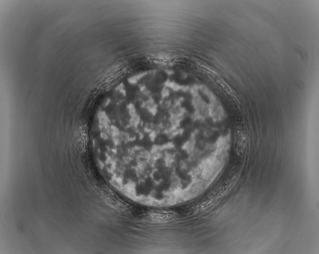 X0000112000707200908241433