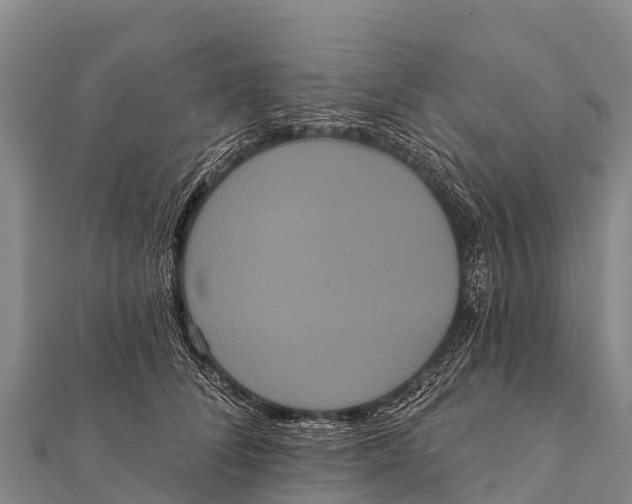 X0000112000708200908241433