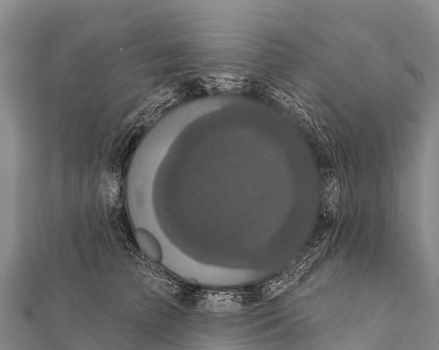 X0000112000709200908241433