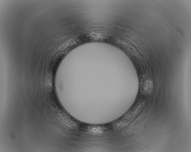 X0000112000710200908241433