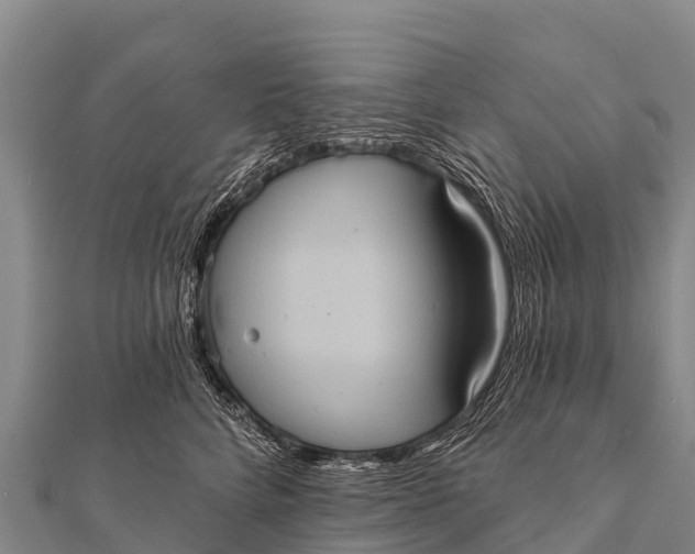 X0000112000712200908241433