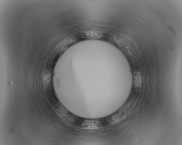 X0000112000713200908241433