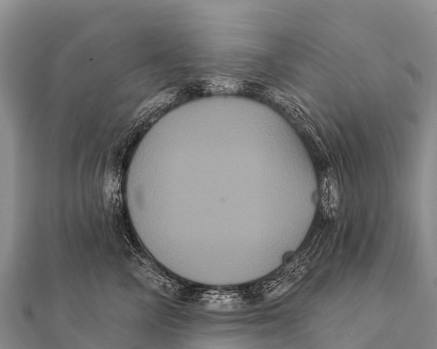 X0000112000714200908241433