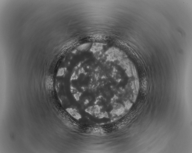 X0000112000715200908241433