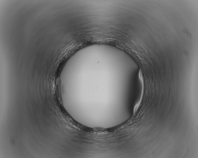 X0000112000716200908241433