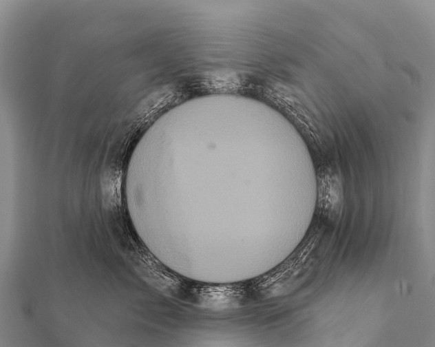 X0000112000717200908241433